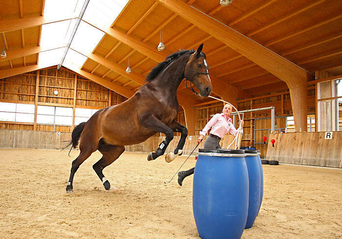 11-26-d190-christiane-schwahlen_large