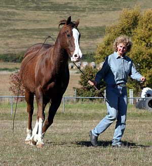 Cynthia  & Lucky