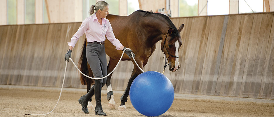 DSC2520_Christiane_Schwahlen_Natural_Horsemanship