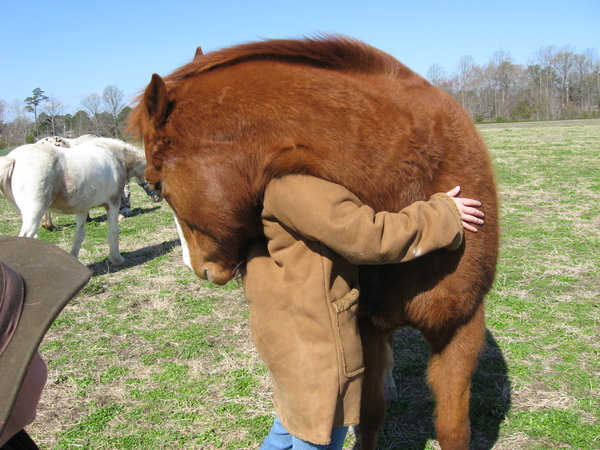 Horse_Hug_by_kioneslayer